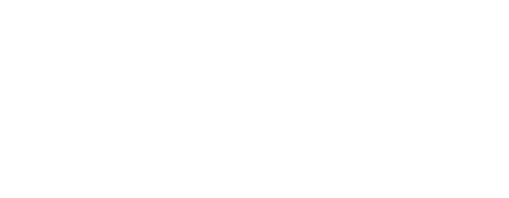 Fish Bot — video and audio transcription